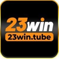 23winos113