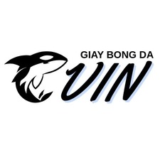 giaybongdavin