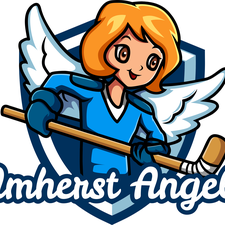 angelsforkidsamherstcom