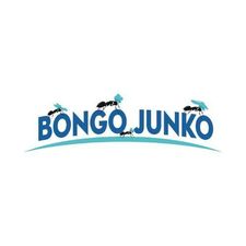 junk-removal-spring-tx
