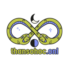 thansohoconlinevn