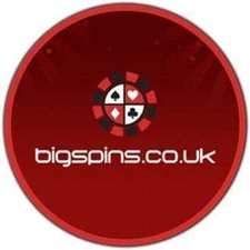 bigspins11