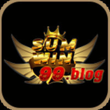 sumwin99blog