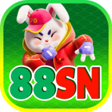 88SNcombr