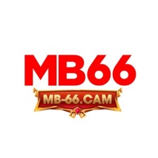 mb66cam2
