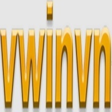 vwinvnink