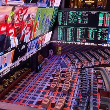 NflnewsorgKr