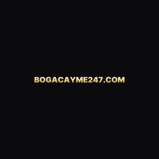bogacayme247com