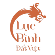 luc.b.i.n.hdatviet