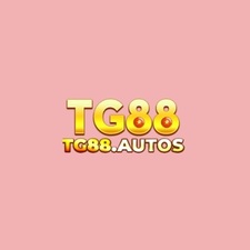 tg88autos
