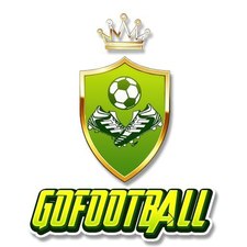 gofootballtogo