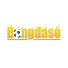 bongdasovipcon1