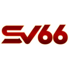 sv66beer