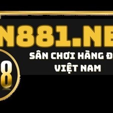 n881net01
