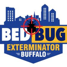 bedbugextbuffalo