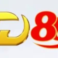 td88phanhoivip1