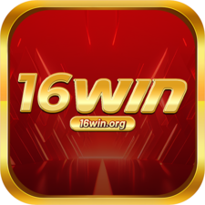 16winorg