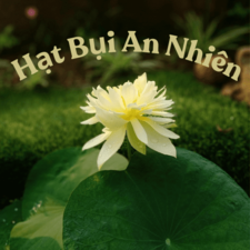 nguyencongminhtri5321