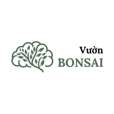 vuonbonsai