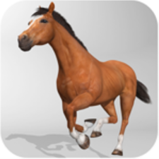 horse simulator 3d wtf