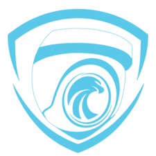 TRUSTED EAGLE SECURITY