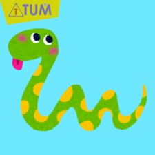 TUM 