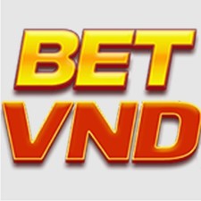 betvndee1