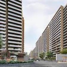 Prestige Evergreen1