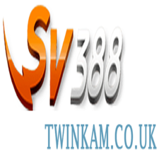 sv388twinkam