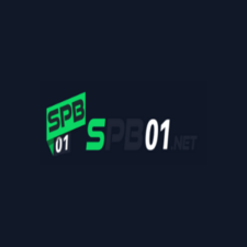 spb01net