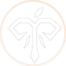 tanvoishopcom