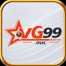 vg99ink01