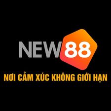new88cco2