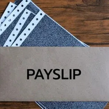 Payslips Plus