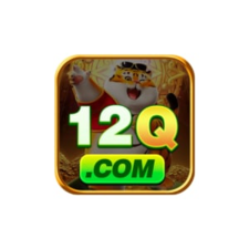 12qvipcombr
